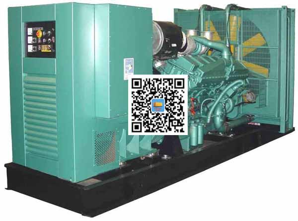 武都笼型异步发电机的电力电子控制技术