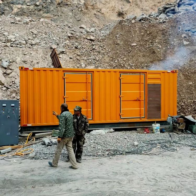 武都如何选择适合自己的 800KW 柴油发电机组？